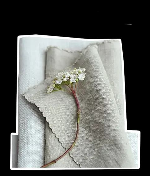 Tracing Your Clothes from Seed to Garment: Understanding the Fashion Supply Chain